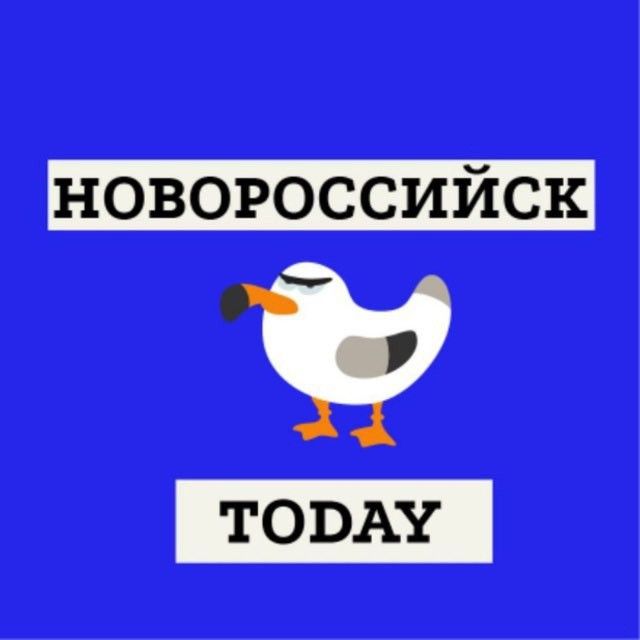 Новороссийск.Today (@novorosstoday) • Посты и статистика канала Telegram